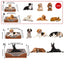 🐾 PawBloom™ Oversized Cozy Sofa Pet Bed