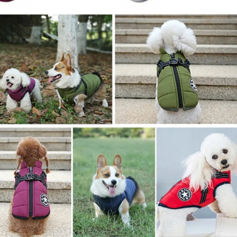 🧥🐾 PawBloom™ WinterShield Dog Jacket Harness