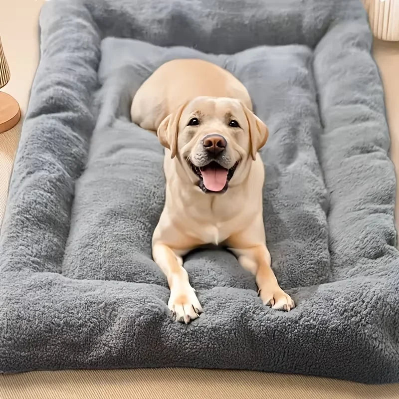 🐾 PawBloom™ UltraSoft Crate Sofa Pet Bed
