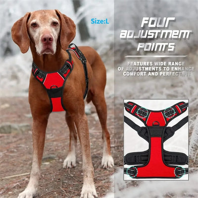🐾 Pawline™ ComfortFit Dog Harness & Leash Set