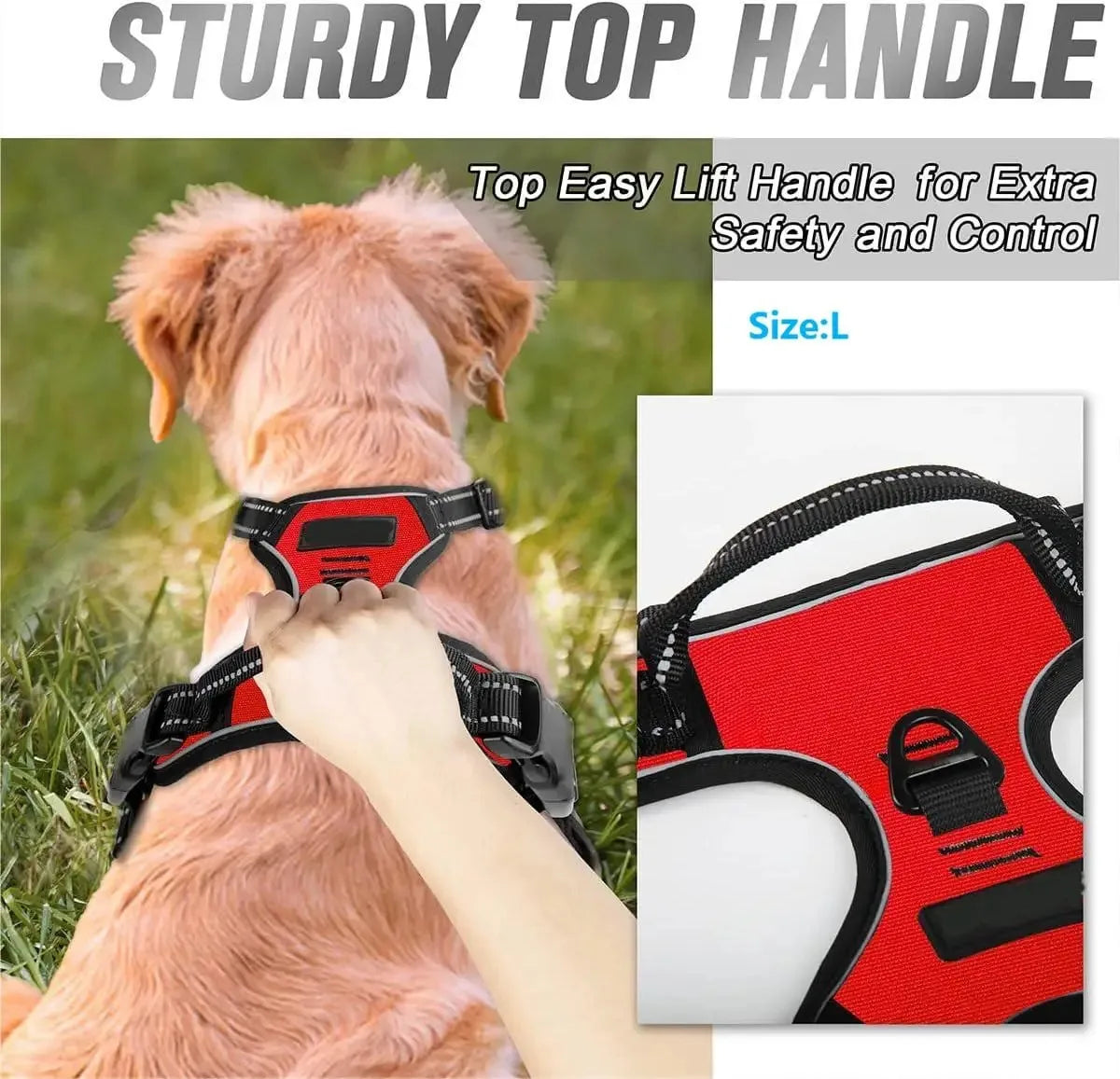 🐾 Pawline™ ComfortFit Dog Harness & Leash Set